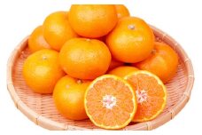 【先行予約受付　有田ミカン】紀州有田産　濃厚完熟温州みかん　約3kg（ＭサイズまたはＳサイズ）【2024年11月下旬頃～2025年1月下旬頃に順次発送予定(お届け日指定不可)】