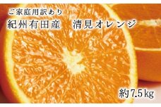 【訳あり・ご家庭用】紀州有田産清見オレンジ　約7.5kg【2026年3月下旬頃〜2026年4月中旬頃に順次発送予定(お届け日指定不可)】