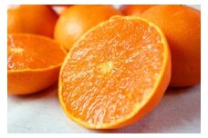 【訳あり・ご家庭用】紀州和歌山産 せとか 約5kg【先行予約】 せとか みかん ミカン 柑橘 フルーツ 果物 くだもの【2026年2月上旬頃～2026年3月中旬頃発送予定（お届け日指定不可）】