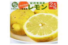 【訳あり・ご家庭用】紀州有田産レモン　約2.5kg【予約】 レモン れもん 果物 柑橘【2026年3月上旬頃〜2026年3月中旬頃に順次発送予定(お届け日指定不可)】