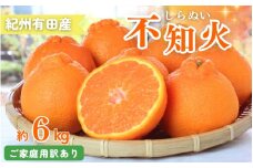 【訳あり・ご家庭用】紀州有田産不知火(しらぬひ) 約6kg 【予約】【2026年2月中旬頃～2026年3月中旬頃に順次発送予定(お届け日指定不可)】