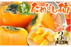 【訳あり・ご家庭用】柿農園「渋柿隊」が直送 たねなし柿「渋あり」訳あり 約3kg【9月下旬～11月上旬頃順次発送】