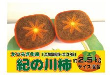【訳あり・ご家庭用（傷有り）】かつらぎ町産 紀の川柿 約2.5kg 【2025年10月中旬～2025年11月中旬頃より順次発送】/ 訳あり 柿 かき フルーツ 果物 くだもの 食品 人気 おすすめ 送料無料