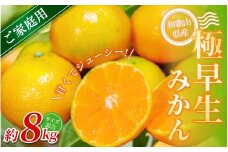 【家庭用】 森本農園の手選別 極早生みかん 約8kg 和歌山県産 2S~2Lサイズ混合 【北海道・沖縄・離島配送不可】【2025年10月上旬～下旬頃に順次発送】
