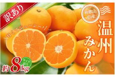 【訳あり】 森本農園の手選別 みかん 約8kg 和歌山県産 2S~2Lサイズ混合 【北海道・沖縄・離島配送不可】【2025年11月上旬～2026年2月中旬ごろに順次発送】