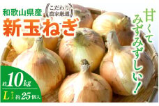 和歌山県産新玉ねぎ約10kg　Lサイズ 約25個入り　こだわり農家厳選！【2026年4月末頃～6月中旬に発送予定】人気 おすすめ たまねぎ 玉ねぎ 玉葱 タマネギ オニオン スープ サラダ 国産 野菜 新鮮 ビッグサイズ 大きい BBQ【BK-kgr033】