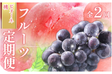 受付終了まで残り僅か！【全2回 】かつらぎ町産 フルーツ定期便（桃・ピオーネ）フルーツ王国よりお届け♪ / もも ピオーネ ぶどう 種無し  たねなし フルーツ 果物 定期便 セット 和歌山 旬 甘い 先行予約 2025