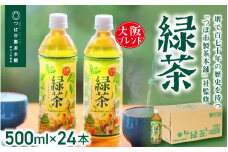 【5ヶ月定期便】≪京阪百貨店厳選≫大阪ブレンド緑茶 500ml×24本(1箱) 【5か月連続でお届け】
