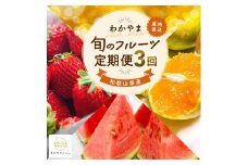 【全3回】わかやま 旬の くだもの 定期便S