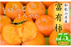 トロっとまろやか　富有柿(約7.5kg)【2025年11月上旬～下旬発送予定】