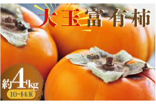 【絶品】大玉富有柿(約4kg)【2025年11月上旬～下旬発送予定】
