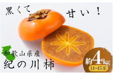 黒くて甘い 紀の川柿 約4kg ★和歌山県オリジナル★【2025年10月上旬～11月上旬ごろ発送予定】