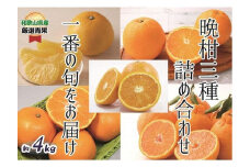 おすすめフレッシュ柑橘３種詰合せ(約4kg) 【2026年2月中旬～2026年3月中旬発送】