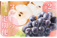 受付終了まで残り僅か！【全2回 】かつらぎ町産 フルーツ定期便（梨・ピオーネ）フルーツ王国よりお届け♪ / なし ピオーネ ぶどう 種無し  たねなし フルーツ 果物 定期便 セット 和歌山 旬 甘い 先行予約 2025