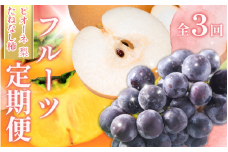 受付終了まで残り僅か！【全3回 】かつらぎ町産 フルーツ定期便（梨・ピオーネ・たねなし柿）フルーツ王国よりお届け♪ / なし ピオーネ ぶどう 種無し  たねなし 柿 フルーツ 果物 定期便 セット 和歌山 旬 甘い 先行予約 2025