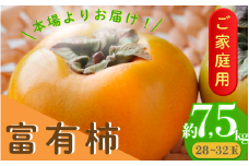 【訳あり・ご家庭用】【傷あり】ご家庭用富有柿（約7.5kg）【2025年11月上旬～下旬発送予定】