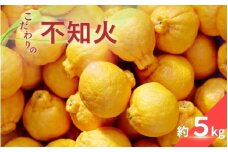 こだわりの 不知火 約5kg 有機質肥料100% 農家直送 光センサー選別 【2026年2月中旬より順次発送予定（お届け日指定不可）】 不知火 みかん ミカン 柑橘 フルーツ 果物 くだもの 人気 旬 産地直送【CE-nuk111B】