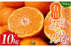 【訳あり】農家直送 有田みかん 約10kg ご家庭用 サイズ混合 【2025年11月中旬より順次発送予定（お届け日指定不可）】【北海道・沖縄・離島への配送不可】 訳ありみかん 温州みかん サイズ混合 訳ありみかん 温州みかん 有機質肥料100% ふるさと納税 柑橘 有田 産地直送【CE-nuk138E】