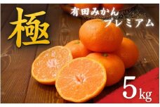極 有田みかんプレミアム 約5kg【光センサー 高糖度選別品】2S～Lサイズ 有機質肥料100% 【2025年11月下旬頃～2026年1月上旬頃に順次発送予定】 【北海道・沖縄・離島への配送不可】 【CE-nuk155E】