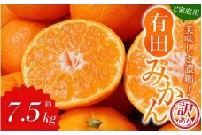 【訳あり】農家直送 有田みかん 約7.5kg ご家庭用 サイズ混合 【2025年11月中旬より順次発送予定（お届け日指定不可）】【北海道・沖縄・離島への配送不可】 訳ありみかん みかん ミカン 蜜柑 柑橘 フルーツ 果物 くだもの 温州みかんサイズ混合 訳ありみかん 温州みかん 有機質肥料100% ふるさと納税 柑橘 有田 産地直送【nuk157C】