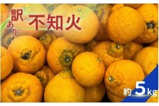 【訳あり】デコポン 不知火 約5kg 【2026年2月中旬～4月中旬ごろ順次発送予定（お届け日指定不可）】 不知火 デコポン みかん ミカン 柑橘 フルーツ 果物 くだもの 人気 旬 産地直送【CE-nuk177】