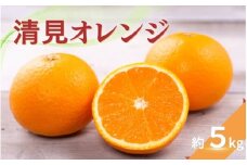 【ご家庭用】清見オレンジ 約5kg 【2026年3月上旬～下旬ごろ順次発送予定（お届け日指定不可）】 清見オレンジ オレンジ みかん ミカン 柑橘 フルーツ 果物 くだもの 人気 旬 産地直送【CE-nuk178】