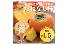 お試しに！カキエモン農園のたねなし柿 約1.5kg 【2025年9月下旬～10月末頃順次発送】/ 柿 たねなし カキ 果物 フルーツ 甘カキ 甘柿