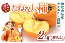お試しに！【訳あり・ご家庭用】たねなし柿 約2kg(箱込)  カキエモン農園【2025年9月下旬～10月末頃順次発送】/ 柿 たねなし カキ 訳あり ご家庭用 2kg 和歌山県 かつらぎ町 産地直送 農家直送