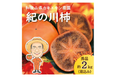 お試しに！カキエモン農園の紀の川柿 約2kg 【2025年10月中旬～11月中旬頃順次発送】/ 果物 くだもの フルーツ 柿 かき 和歌山 人気 送料無料