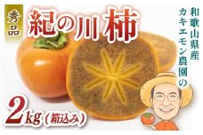 お試しに！カキエモン農園の紀の川柿 約2kg 【2025年10月中旬～11月中旬頃順次発送】/ 果物 くだもの フルーツ 柿 かき 和歌山 人気 送料無料