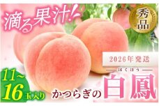 ☆2026年先行予約☆ 和歌山県産 白鳳 桃 11～15玉入り 秀品【2026年6月下旬から7月下旬ごろ発送】/ かつらぎ町 和歌山県産 桃 モモ 白鳳 フルーツ 果物 くだもの 人気 産地直送 厳選 甘い 予約 