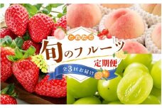【フルーツ定期便・全3回】品質に自信あり！くしがきの里から直送　桃・シャインマスカット・まりひめを季節ごとにお届け♪ / 定期便 桃 もも シャインマスカット マスカット いちご イチゴ 苺 果物 フルーツ 3回