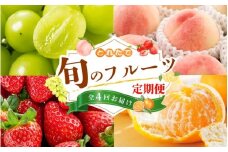【フルーツ定期便・全4回】品質に自信あり！くしがきの里から直送　桃・シャインマスカット・はれひめ・まりひめを季節ごとにお届け♪ / 定期便 桃 もも みかん 柑橘 シャインマスカット マスカット いちご イチゴ 苺 果物 フルーツ 4回