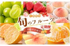 【フルーツ定期便・全6回】品質に自信あり！くしがきの里から直送　厳選した果物を最高のタイミングでお届け♪ / 定期便 桃 もも みかん 柑橘 シャインマスカット マスカット いちご 不知火 はれひめ イチゴ 苺 果物 フルーツ 6回