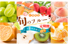 【フルーツ定期便・全9回】品質に自信あり！くしがきの里から直送　人気の果物を贅沢に楽しめる♪  / 定期便 桃 もも みかん 柑橘 シャインマスカット ぶどう 柿 キウイ マスカット いちご 不知火 はれひめ イチゴ 苺 果物 フルーツ 9回