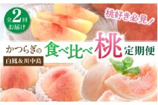 桃好き必見！かつらぎの自慢の桃 白鳳＆川中島 食べ比べセット 各約2kg ～全2回お届け～/ 和歌山県 かつらぎ町 定期便 桃 もも 果物 フルーツ 2回