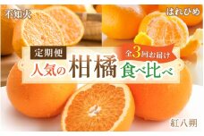 【柑橘堪能定期便】人気の3種を食べ比べ♪（はれひめ・紅はっさく・不知火） / 和歌山県 かつらぎ町 定期便 みかん 柑橘 果物 フルーツ 3回