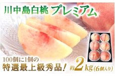 【2026年発送分先行予約】数量限定！【モモ】川中島白桃 約2kg 6個入  100個に1個の特選最上級秀品！ こだわり農家厳選！【2026年7月末から8月末順次発送】/ 和歌山県 かつらぎ町 もも 桃 高級 贅沢 特選