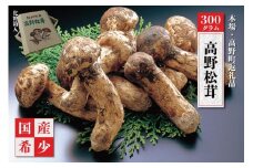 【2025年発送分】香り・歯応え・味ともに最高級！希少な国産松茸「高野松茸」300g【化粧箱入】