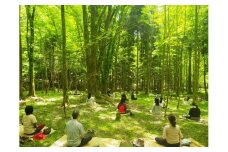◇【お大師様の森林を体感する】高野山森林セラピー体験ツアー