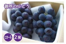 ◇御所のぶどう（ピオーネ）