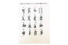 文化功労者 尾崎邑鵬 揮毫  漢字Tシャツ　Mサイズ（11.進）