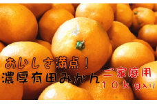 美味しさ満点!濃厚有田みかん１０kg【ご家庭用/サイズ混合】[2021年11月～発送]