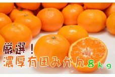 【厳選】濃厚有田みかん【サイズ混合】８kg［2021年11月～発送］