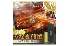 大型サイズ 　ふっくら柔らか国産うなぎ蒲焼き　1尾（約2人前）化粧箱入