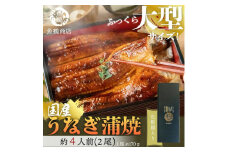 大型サイズ　ふっくら柔らか国産うなぎ蒲焼き　2尾