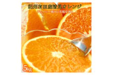 とにかくジューシー清見オレンジ　5kg［2026年3月下旬以降発送］［先行予約］［UT53］