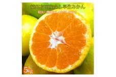 紀州和歌山有田産ゆら早生みかん　5kg【2025年発送】【UT34】
