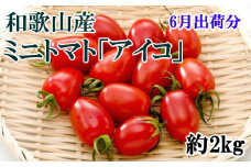 ［2026年6月出荷分］和歌山産ミニトマト「アイコトマト」約2kg（S・Mサイズおまかせ）［TM166］