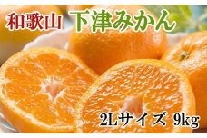 【産直・秀品】和歌山下津みかん約9kg（2Lサイズ）★2025年11月中旬頃より順次発送［TM76］
